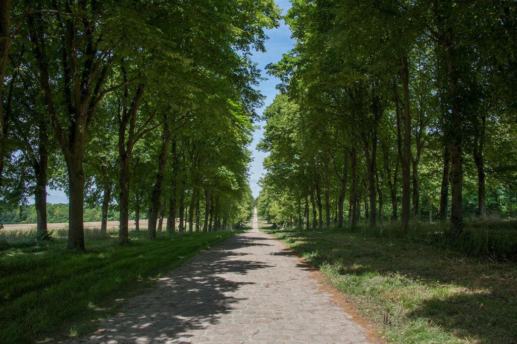 Image de taxi à Versailles